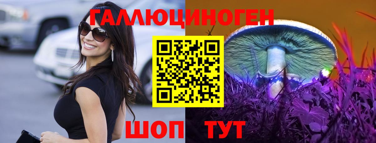 Псилоцибиновые грибы мицелий Димитровград