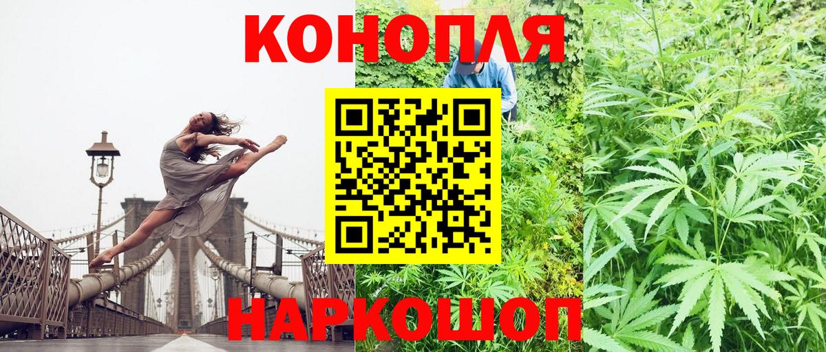 Конопля план Димитровград